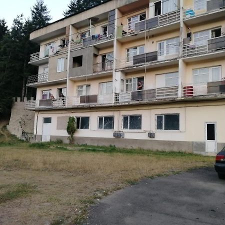 Alena'S Flat Appartamento Borjomi Esterno foto