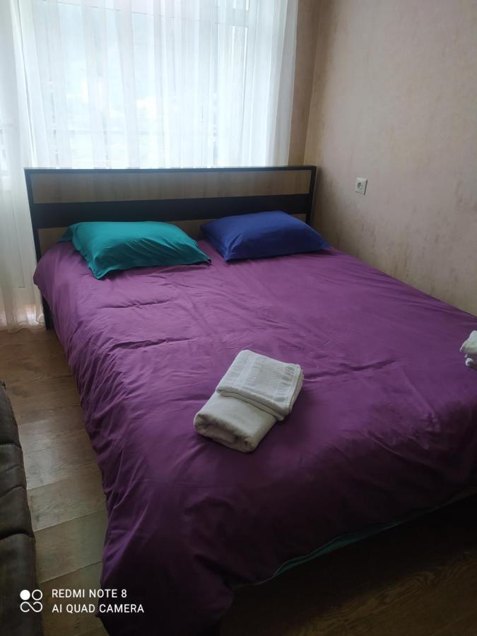 Alena'S Flat Appartamento Borjomi Esterno foto