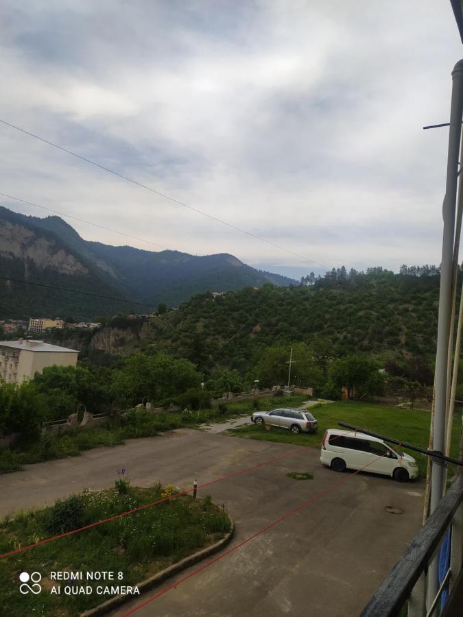 Alena'S Flat Appartamento Borjomi Esterno foto