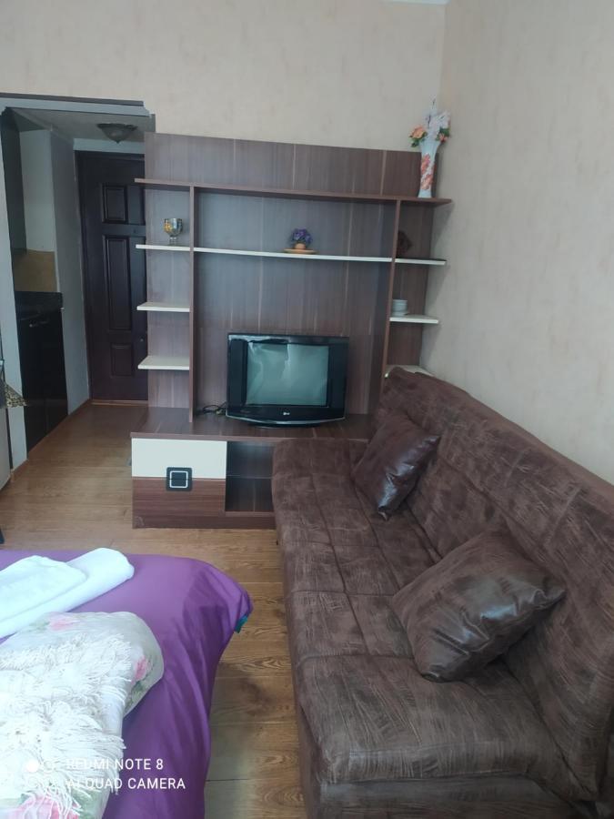 Alena'S Flat Appartamento Borjomi Esterno foto