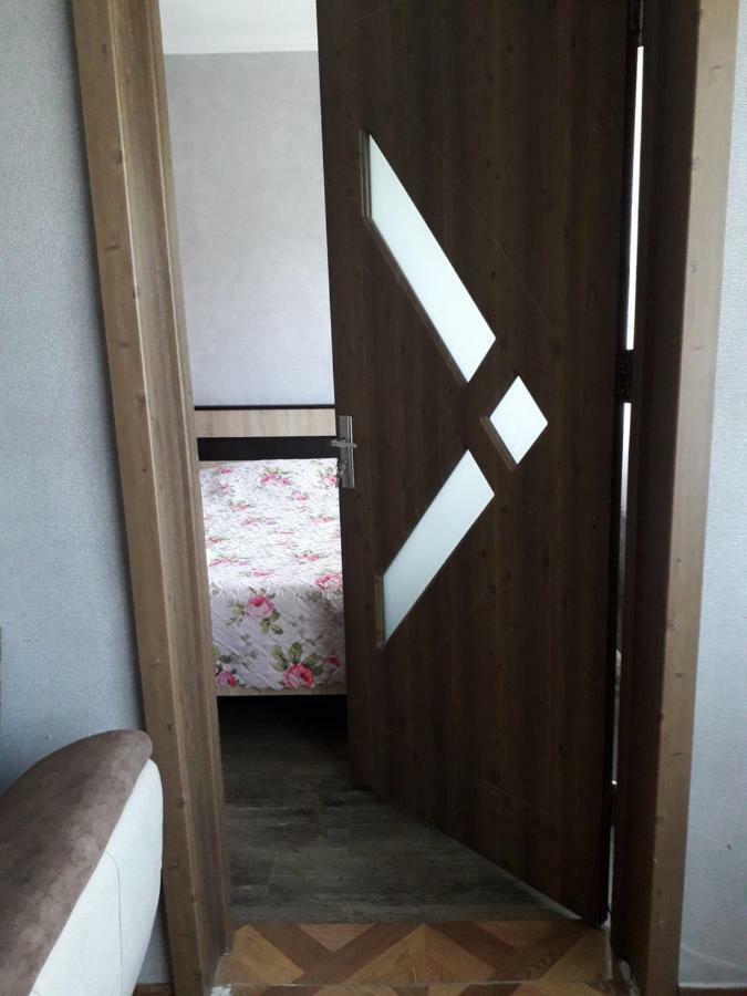 Alena'S Flat Appartamento Borjomi Esterno foto